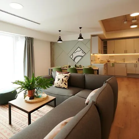 Apartment And Private Bedrooms At The Loom In Dublin